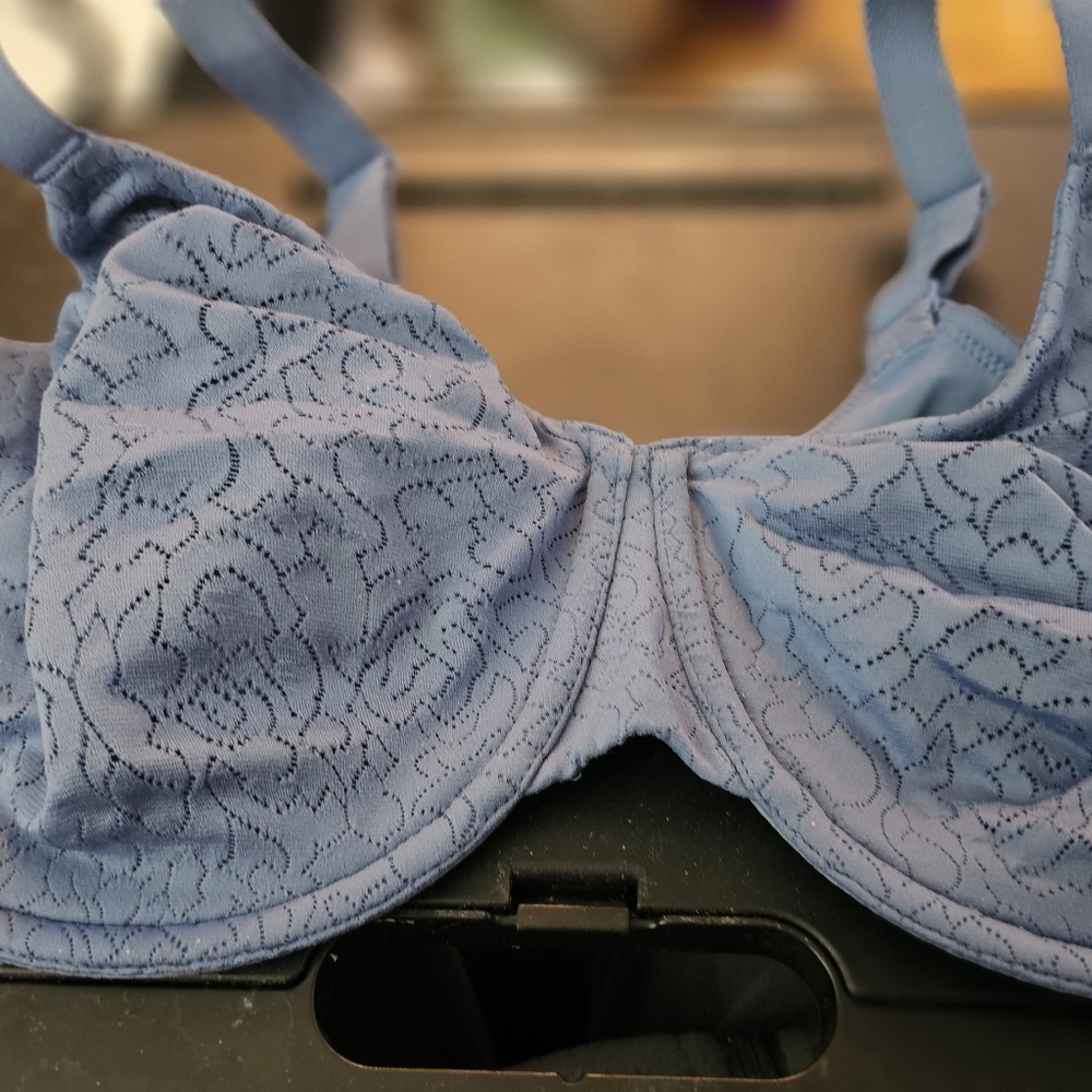 Elegant Blue Lace Bra